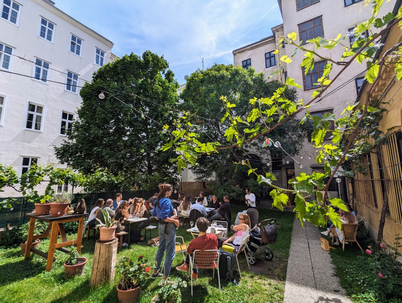 Frei Yoga Cafe Wien Gastgarten