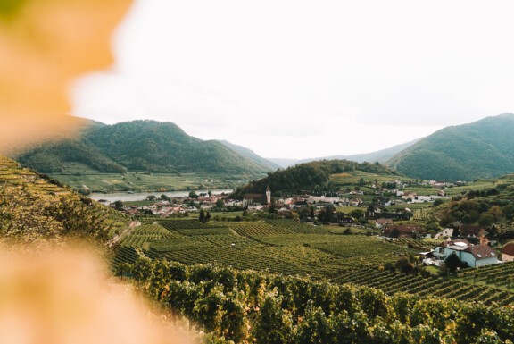 Wachau