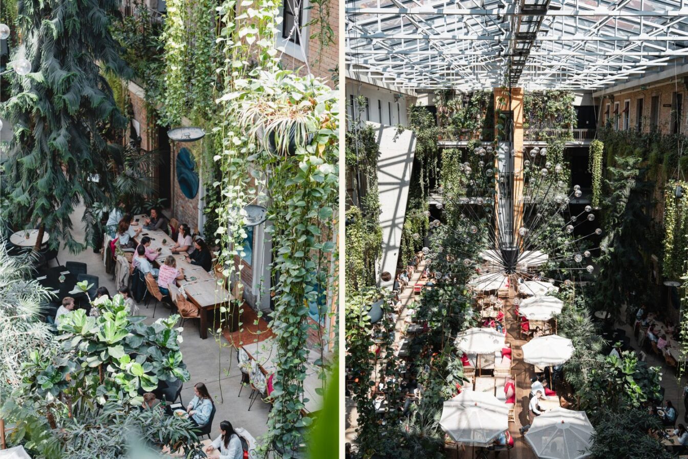 Zwei Ansichten des begrünten Innenhofs im Stories Hotel in Budapest: links Gäste an langen Tischen inmitten von üppigen Pflanzen und hängenden Ranken, rechts der lichtdurchflutete Atriumbereich mit Glasdach, weißen Sonnenschirmen, modernen Sitzbereichen und vertikalem Gartenambiente.