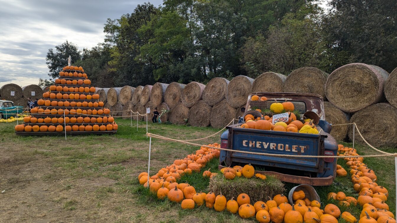 ein mit Kürbissen dekorierter Oldtimer und eine Kürbis-Pyramide beim Kürbishof Wunderlich