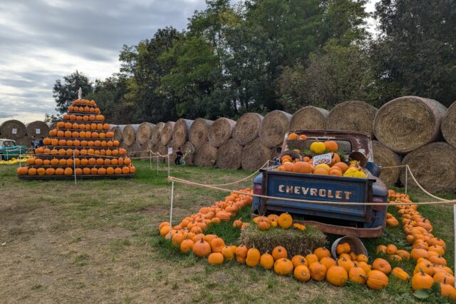 ein mit Kürbissen dekorierter Oldtimer und eine Kürbis-Pyramide beim Kürbishof Wunderlich
