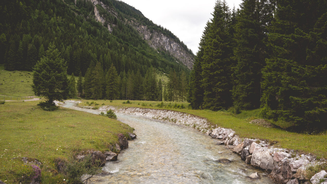 Marbachtal, Salzburg mit Bergen und grünen Wiesen entlang der Marbach