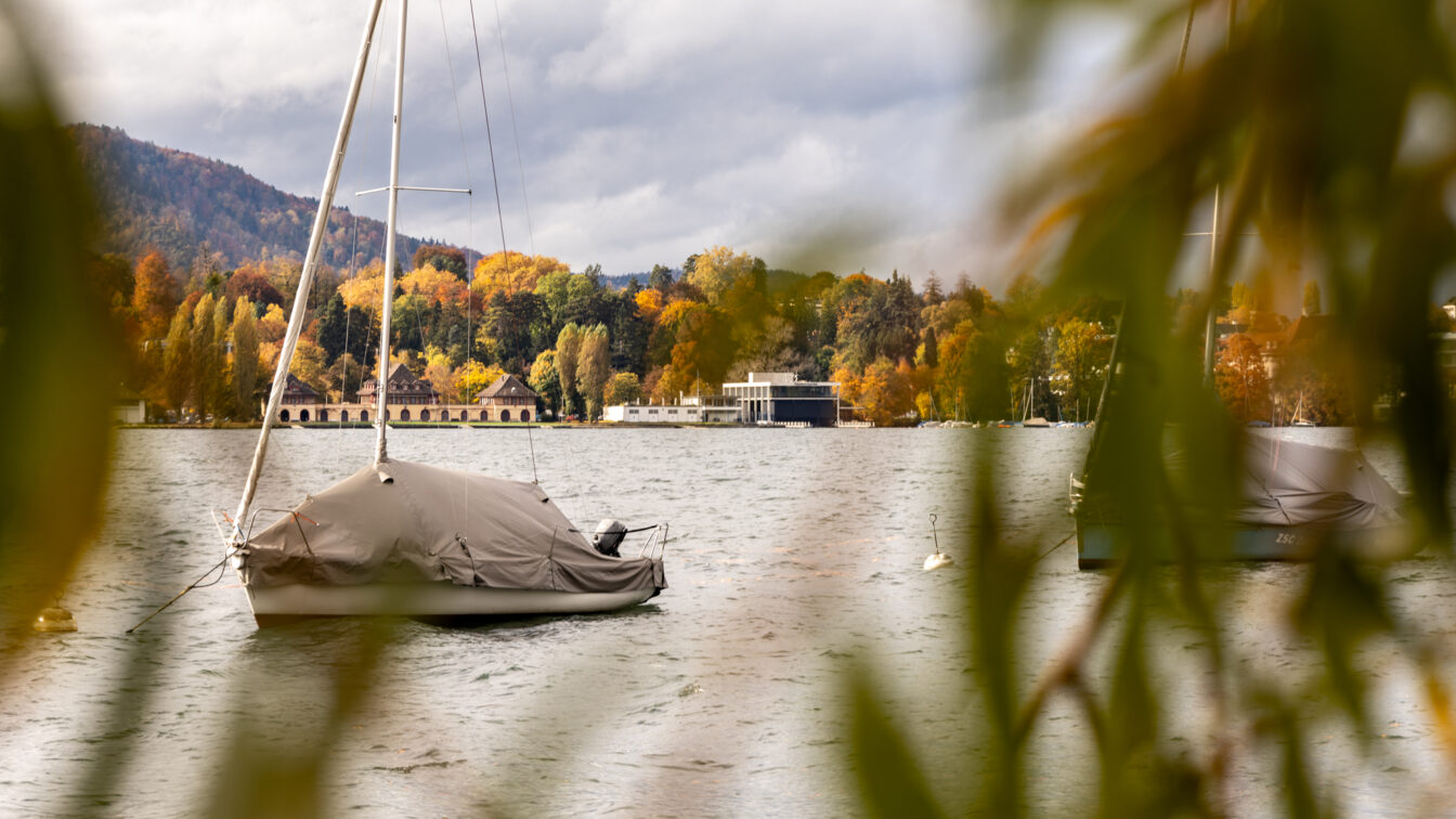 Blick durch herbstlich gefärbte Äste auf ein ruhiges Gewässer mit zwei abgedeckten Segelbooten, die vor Anker liegen. Im Hintergrund sind farbenfrohe Bäume, Gebäude am Ufer und bewaldete Hügel unter einem bewölkten Himmel zu sehen.“