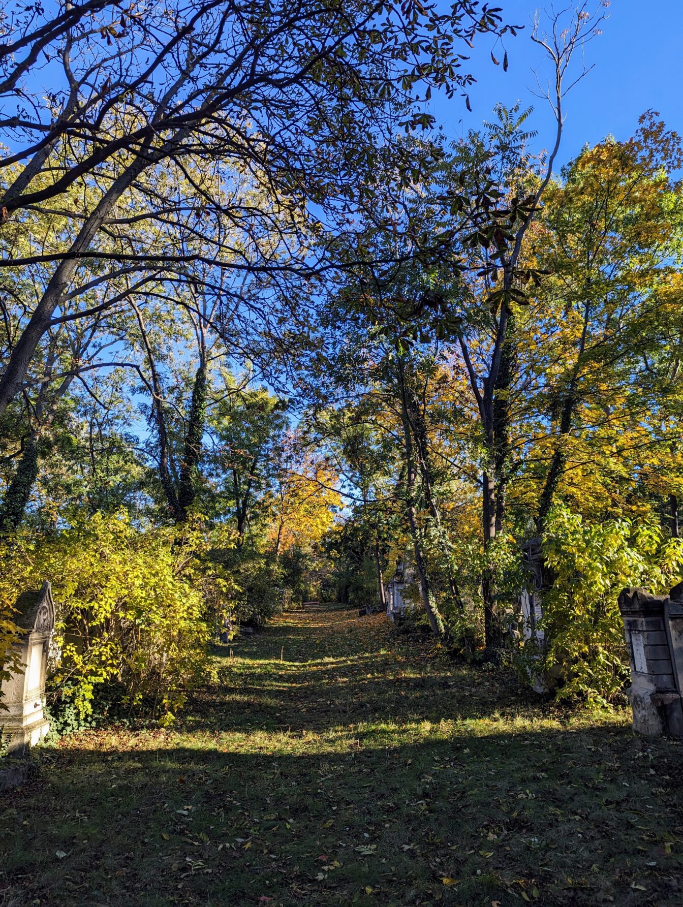 der Friedhof Sankt Marx in Wien im Herbst