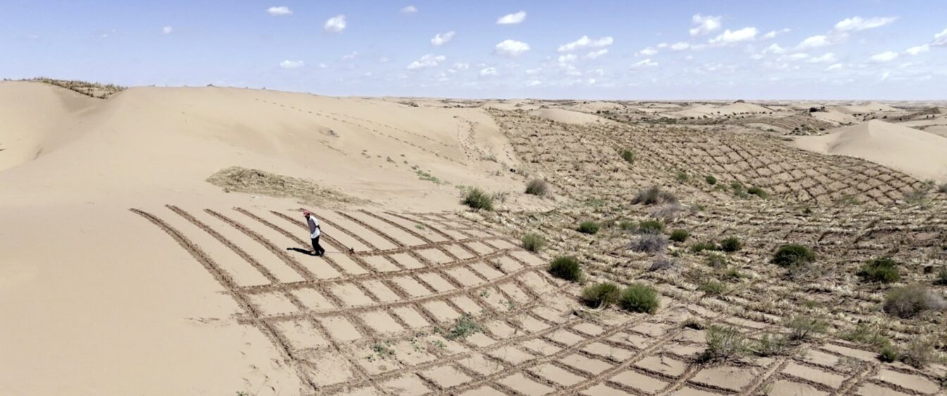 Viennale 2025 in Wien: Bild aus Elements of(f) Balance