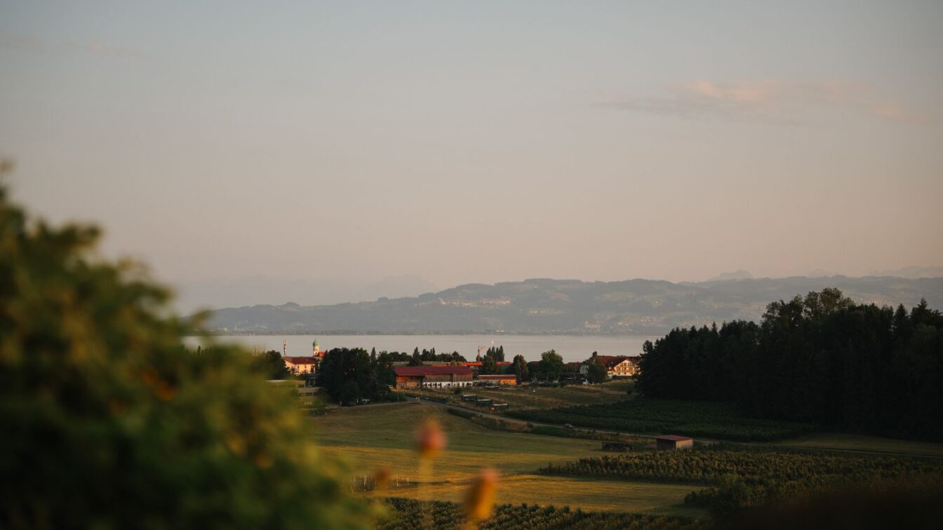 Blick vom Weingut Schmidt in Hattnau auf den Bodensee.