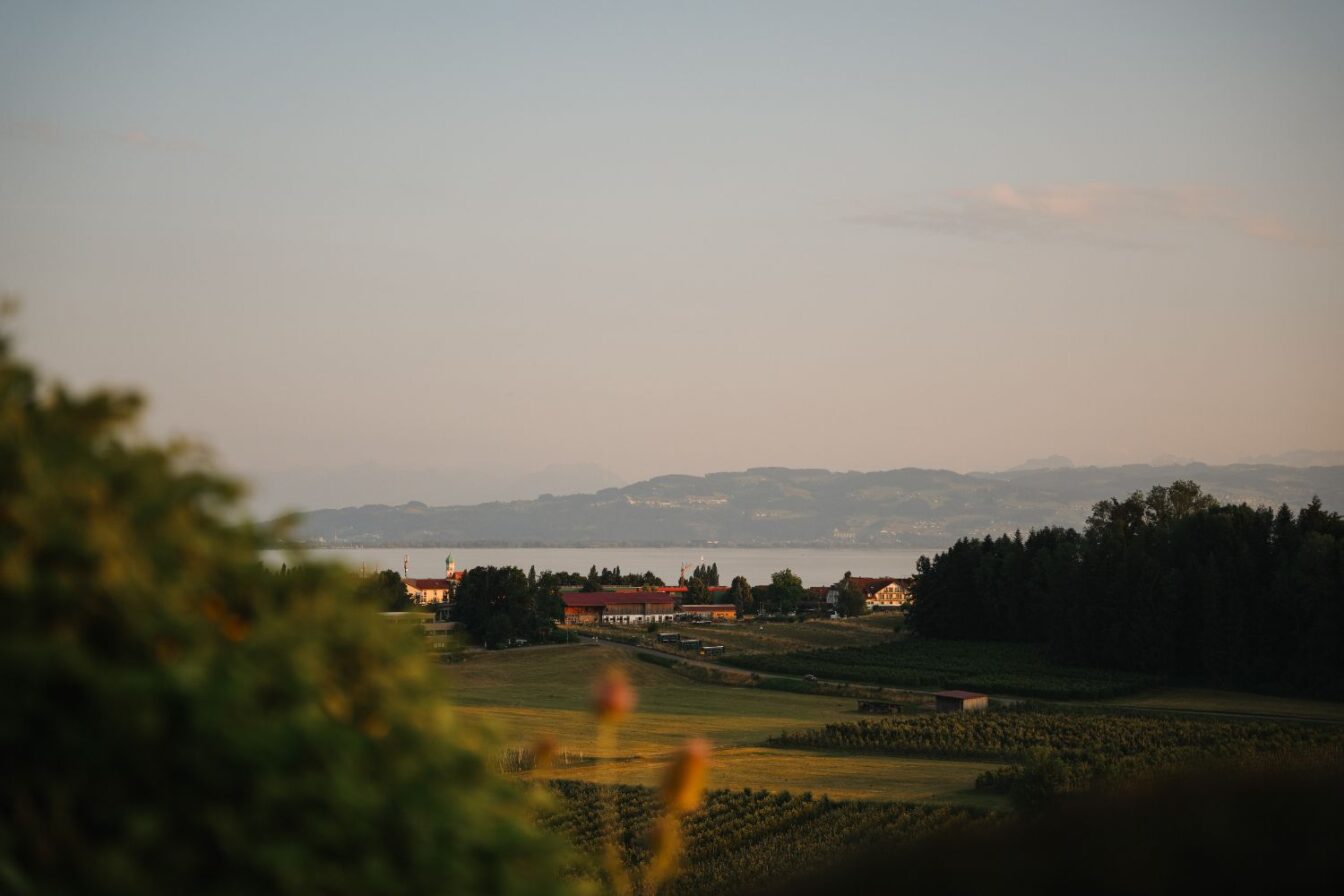 Blick vom Weingut Schmidt in Hattnau auf den Bodensee.