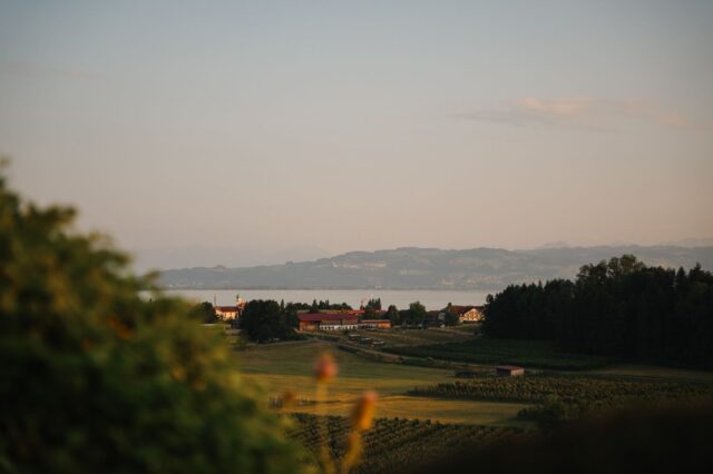 Blick vom Weingut Schmidt in Hattnau auf den Bodensee.