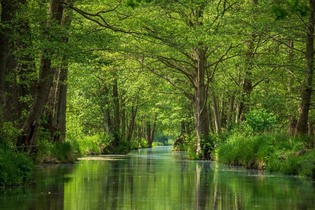 Spreewald, Deutschland