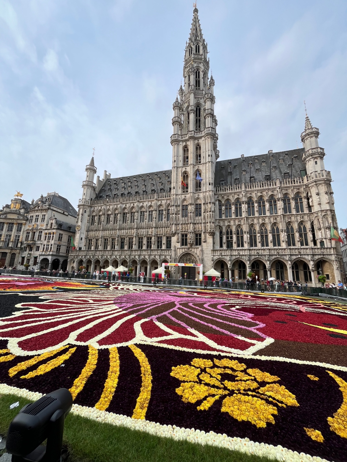 Blumenteppich Brüssel 2024
