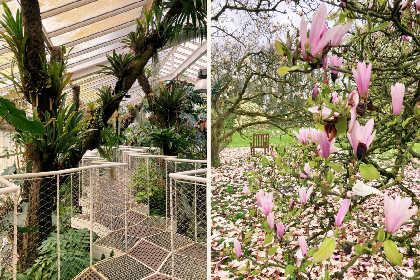 Botanischer Garten Meise bei Brüssel