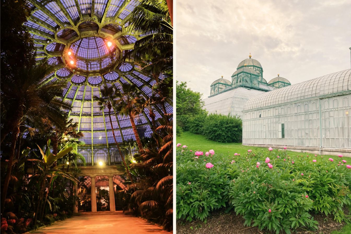 Königliche Gewächshäuser Brüssel