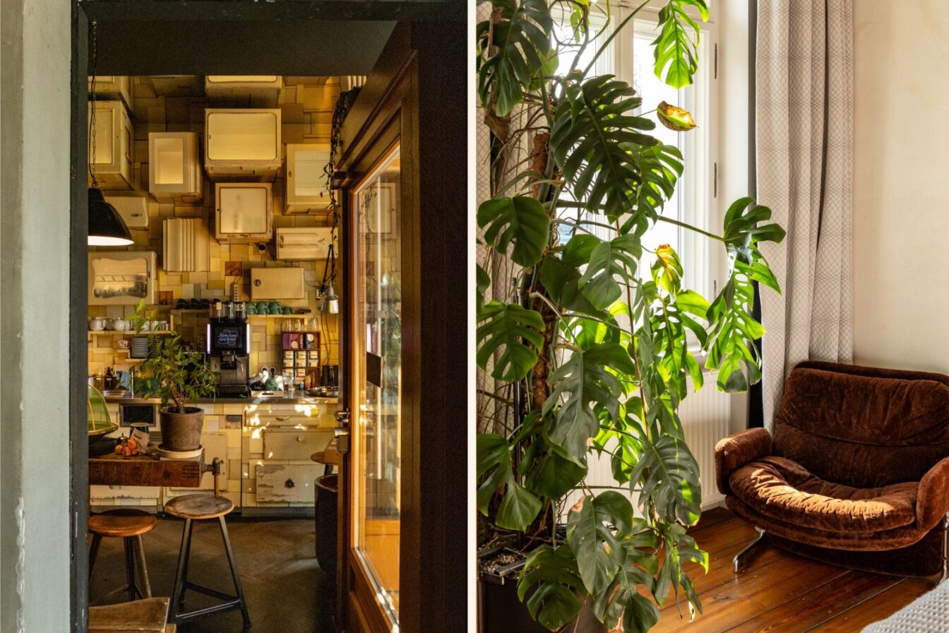 Zweiteiliges Bild aus dem Linnen in Prenzlauer Berg, Berlin. Links eine gemütliche Café-Küche mit einer kreativen Wandgestaltung aus alten weißen Küchenschränken, die scheinbar wahllos an der Wand und Decke montiert sind. Eine Kaffeemaschine, Geschirr und kleine Pflanzen schmücken die rustikale Theke. Im Vordergrund stehen zwei Hocker und ein Holztisch mit Deko. Rechts eine gemütliche Zimmerecke mit einem großen grünen Monstera-Baum, der vor einem Fenster mit hellen Vorhängen steht. Daneben ein retrobrauner Sessel mit weichem Stoffbezug, auf einem warmen Holzboden, der von Sonnenlicht durchflutet wird.