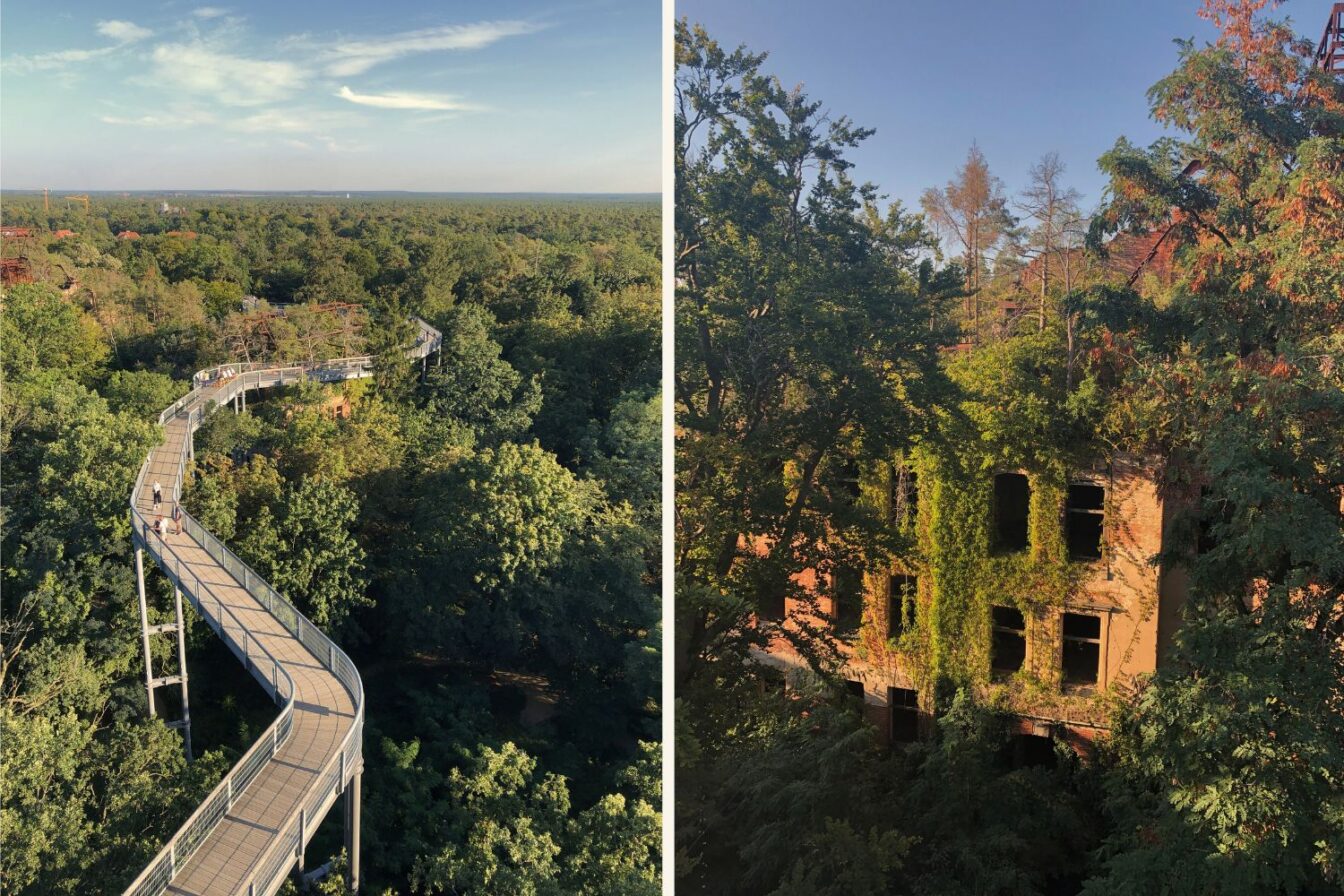 Beelitz Baumwipfelpfad