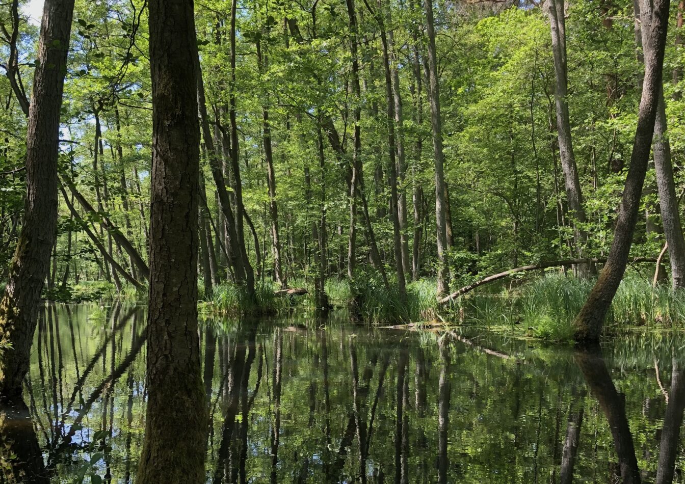 Briesethal, Berlin Ausflugstipps