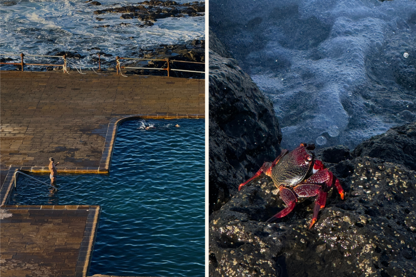 Bild-Collage von der COsta El Sauzal auf Teneriffa (Kanarische Inseln)