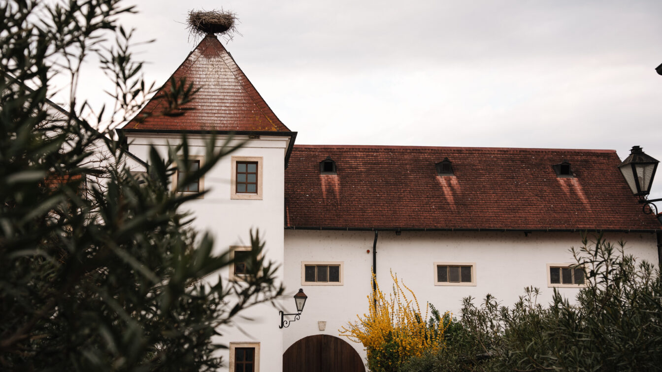 Rotes Dach im Hof vom Weingut Feiler-Artinger in Rust mit Storchennest.