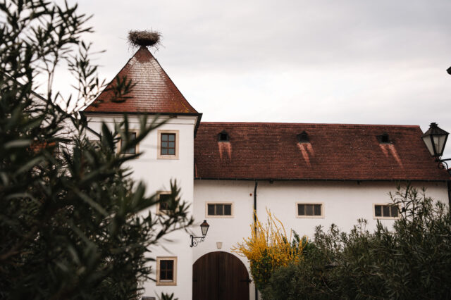 Rotes Dach im Hof vom Weingut Feiler-Artinger in Rust mit Storchennest.