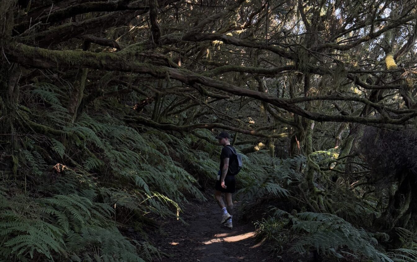 Wanderung durch das Anaga Gebirge auf Teneriffa (Kanarische Inseln)