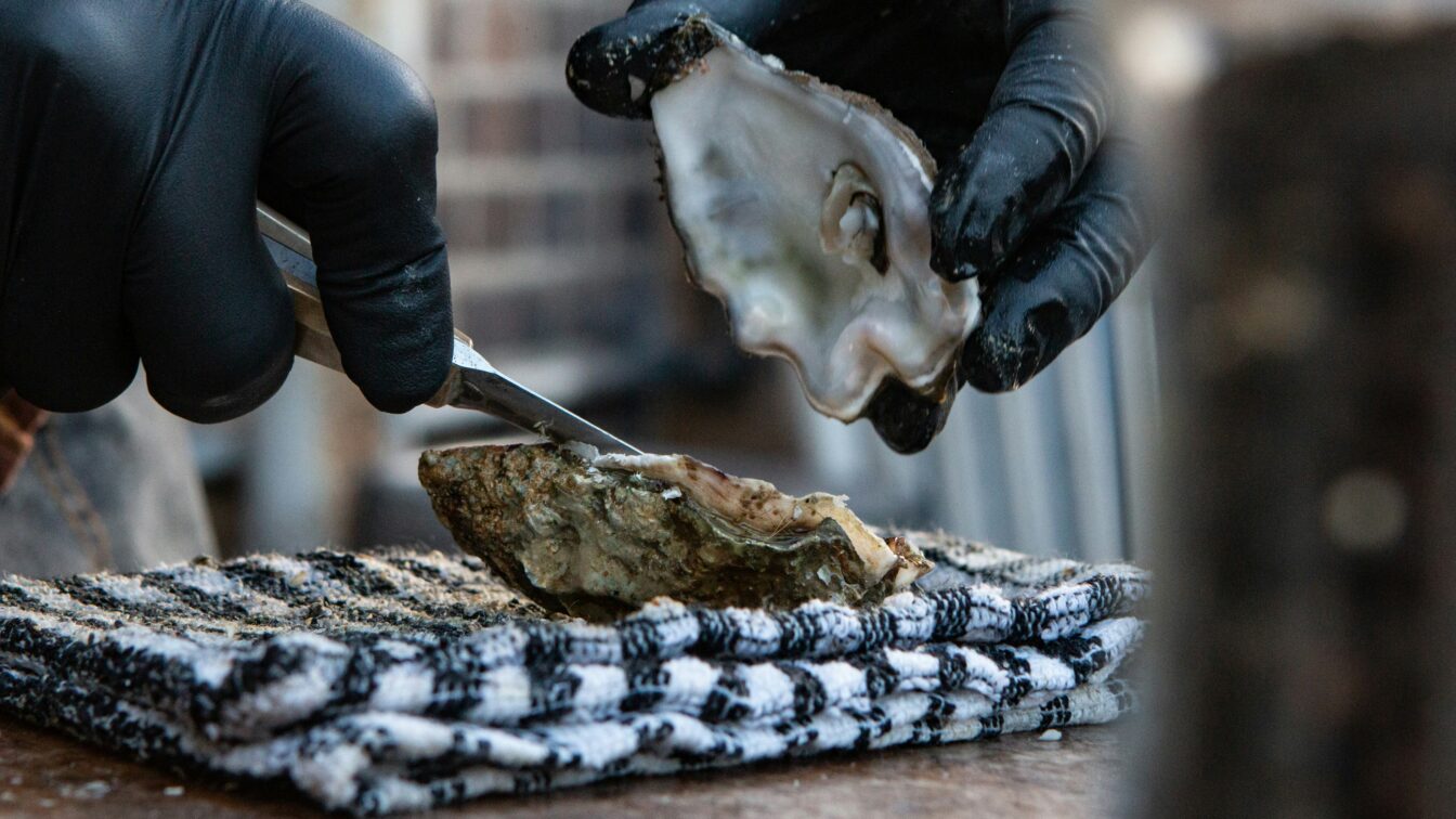 Auster wird geöffnet