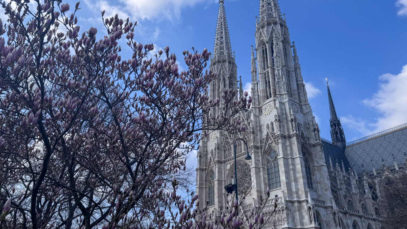 Wiener Votivkirche mit Blüten