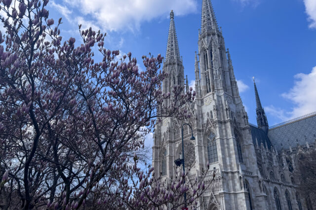 Wiener Votivkirche mit Blüten