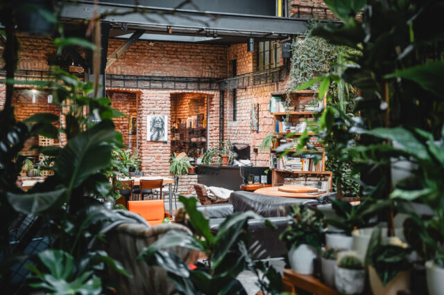 Ein Blick in den Dschungel des Vnitroblocks in Prag.