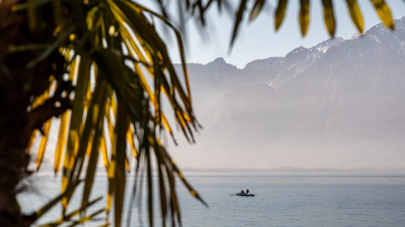 Zwei Personen rudern in einem kleinen Boot über einen ruhigen See, umgeben von Bergen im Dunst. Im Vordergrund rahmen unscharfe Palmenblätter die Szene ein, was eine tropisch-alpine Stimmung erzeugt.