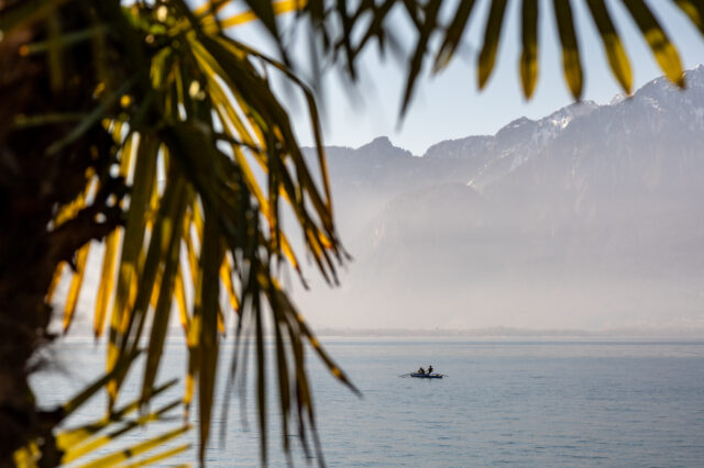 Zwei Personen rudern in einem kleinen Boot über einen ruhigen See, umgeben von Bergen im Dunst. Im Vordergrund rahmen unscharfe Palmenblätter die Szene ein, was eine tropisch-alpine Stimmung erzeugt.