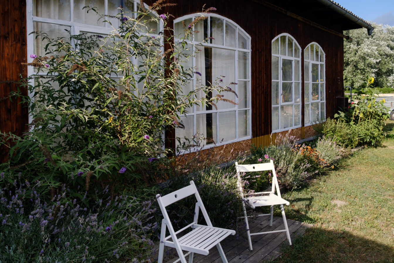 zwei Gartensessel stehen im Garten vor dem Salettl im 22. Bezirk in Wien