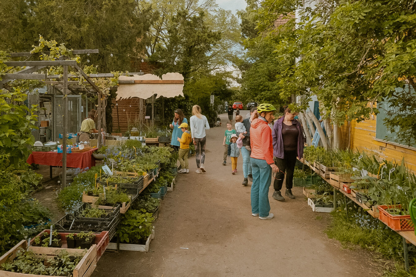 Urban Farming beim Salettl am Gelände der Kleinen Stadt Farm in Wien
