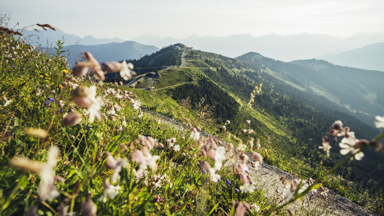 Wanderweg auf der Schmittenhöhe in Zell am See-Kaprun