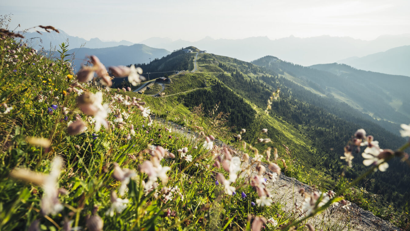 Wanderweg auf der Schmittenhöhe in Zell am See-Kaprun