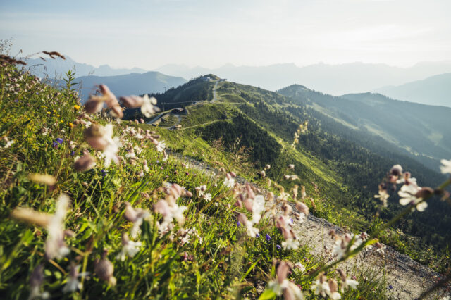 Wanderweg auf der Schmittenhöhe in Zell am See-Kaprun