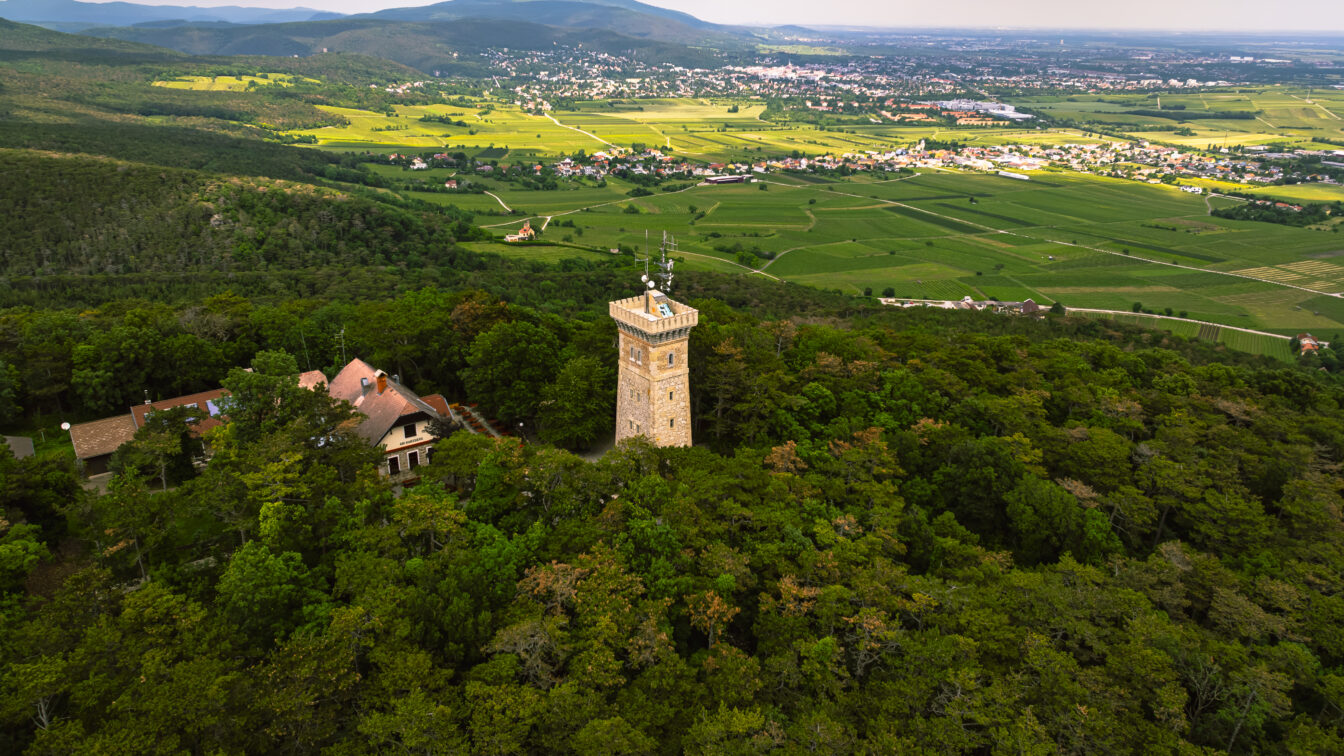 Eine Luftaufnahme eines bewaldeten Hügels mit einem historischen Steinturm und angrenzenden Gebäuden. Der Turm ragt aus dem dichten grünen Wald hervor. Im Hintergrund erstreckt sich eine weite Landschaft mit grünen Feldern, Weinbergen und verstreuten Dörfern. Hügel und Berge sind in der Ferne sichtbar, während der Himmel teils bewölkt ist.