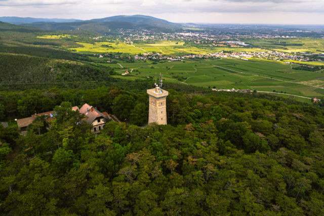 Eine Luftaufnahme eines bewaldeten Hügels mit einem historischen Steinturm und angrenzenden Gebäuden. Der Turm ragt aus dem dichten grünen Wald hervor. Im Hintergrund erstreckt sich eine weite Landschaft mit grünen Feldern, Weinbergen und verstreuten Dörfern. Hügel und Berge sind in der Ferne sichtbar, während der Himmel teils bewölkt ist.