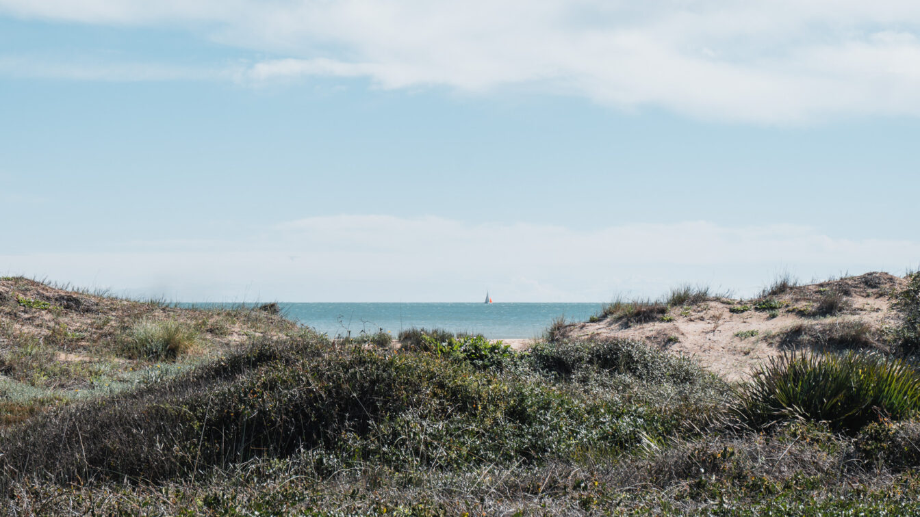 Der Blick vom Naturschutzgebiet El Saler in Richtung Meer.