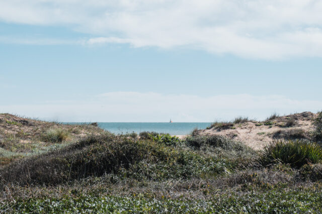 Der Blick vom Naturschutzgebiet El Saler in Richtung Meer.