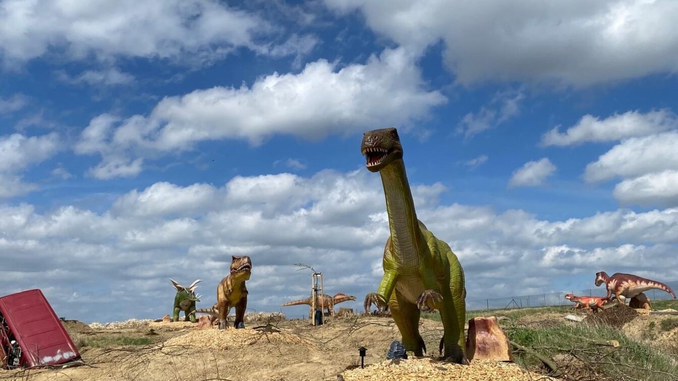 Die Family City bekommt einen Dinopark.