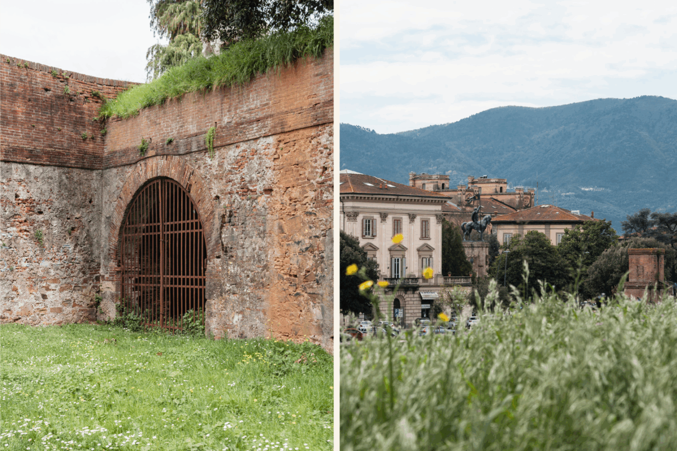 Die Stadtmauer in Lucca: Ein wunderbarer Ort für einen Spaziergang.