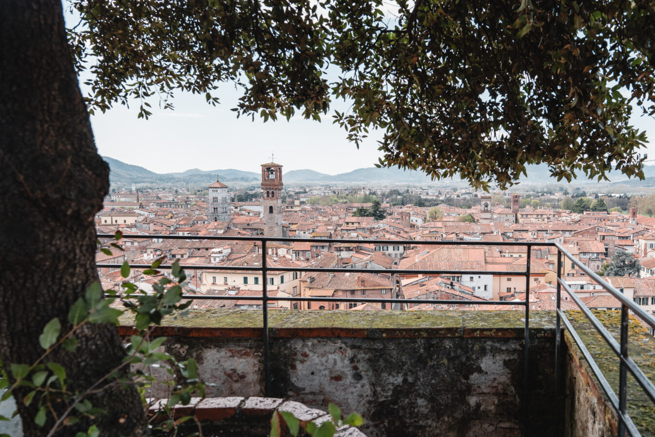 Der Blick vom Torre Guinigi über Lucca in der Toskana.