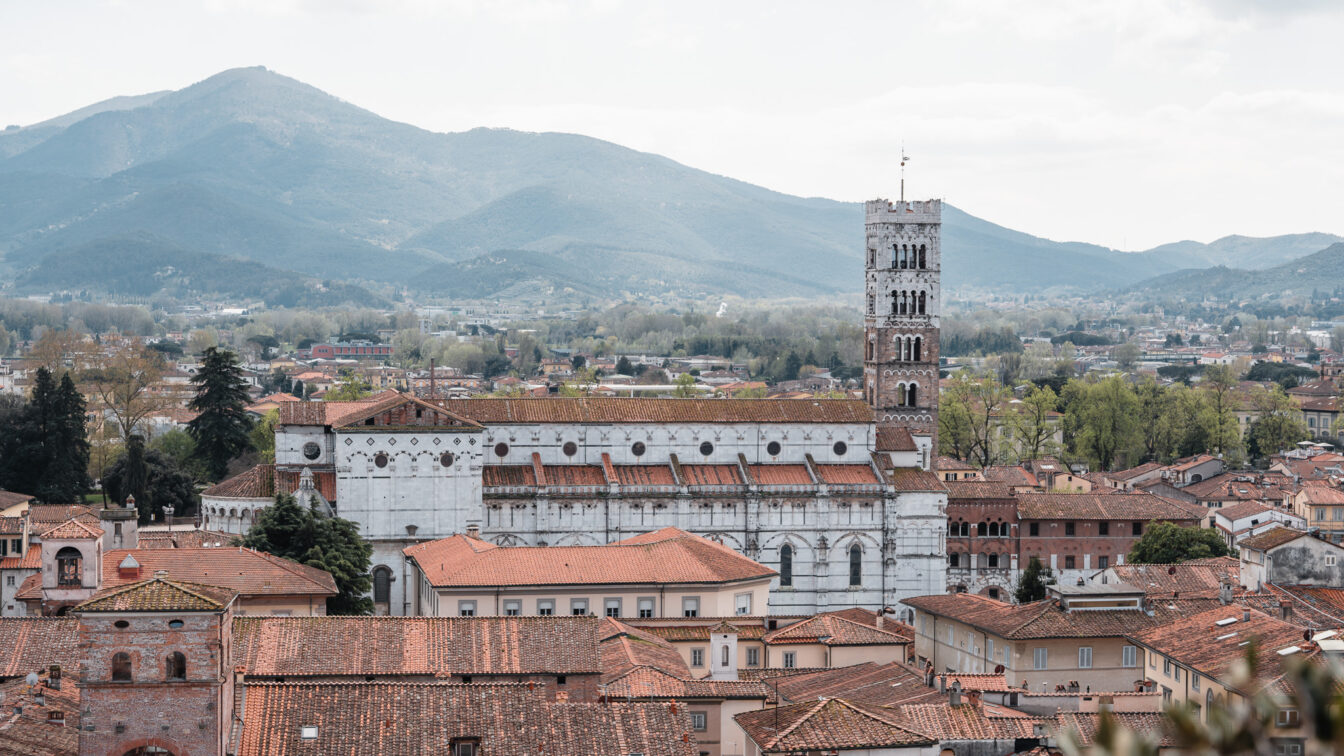 Der Blick über Lucca (Toskana) vom Guinigiturm aus.