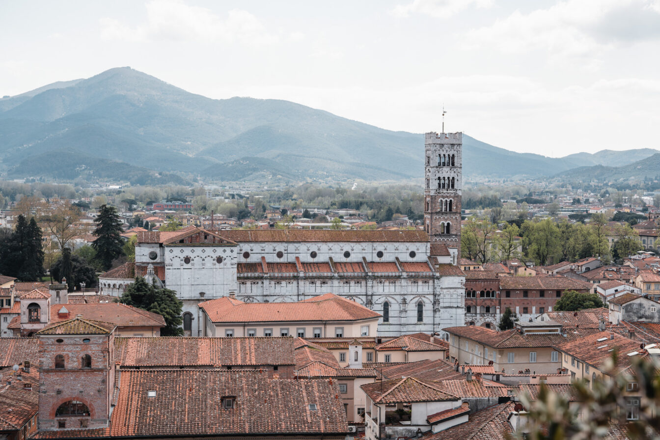 Der Blick über Lucca (Toskana) vom Guinigiturm aus.