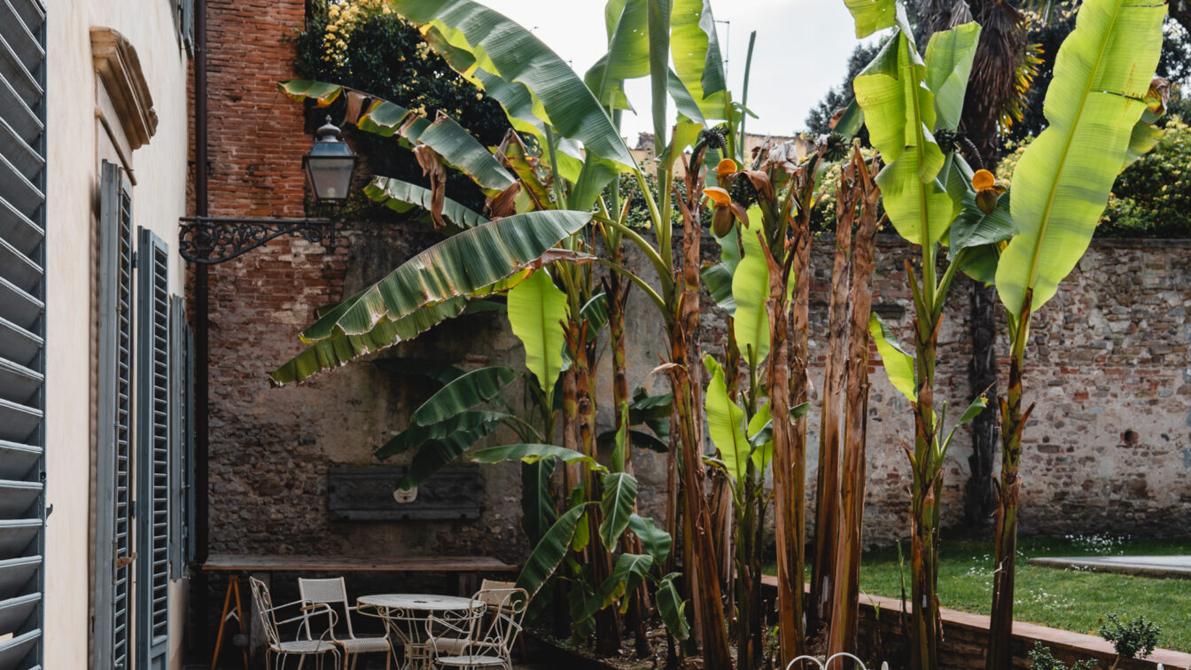 Der Garten des Numa Florence Palazzo San Niccolò.