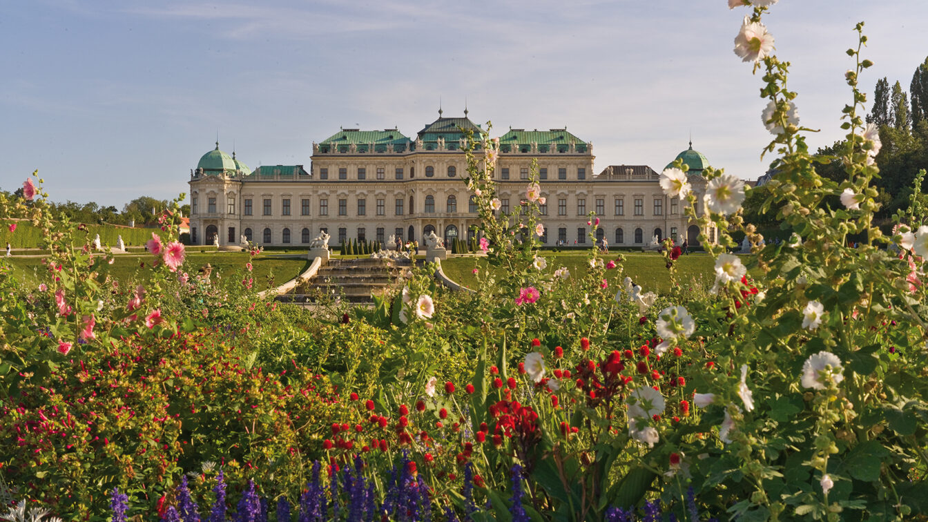 Außenansicht Schloss Belvedere mit Frühlingsblumen im Vordergrund