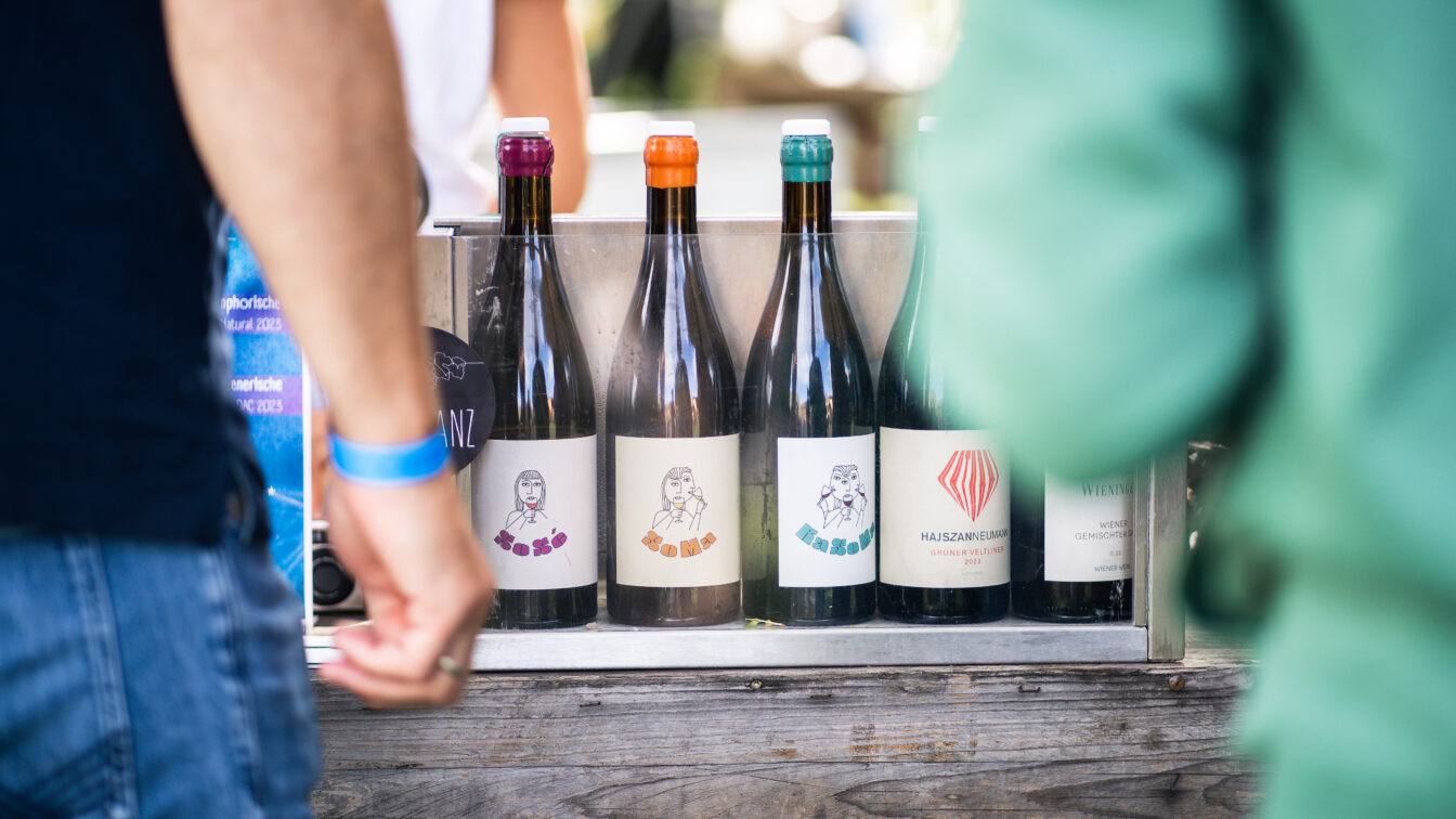 Die Weinauswahl von Wieninger.next