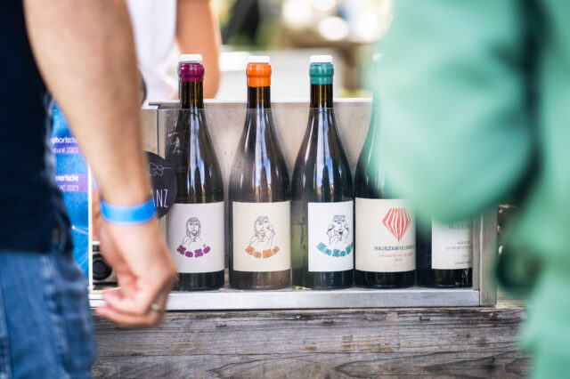 Die Weinauswahl von Wieninger.next