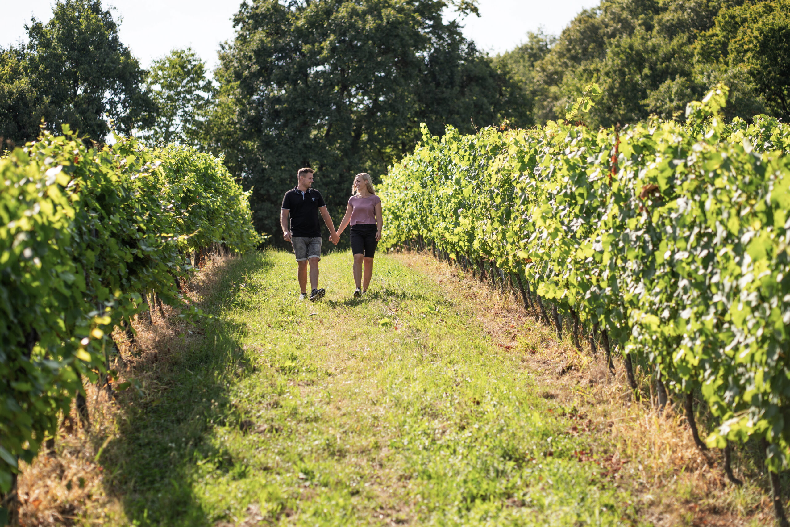 Thermen- & Vulkanland