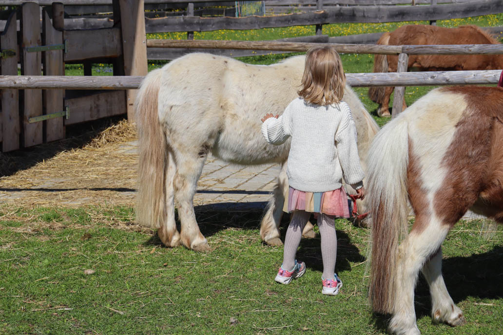 Ein kleines Mädchen, umgeben von Ponys auf dem Gut Aiderbichl.