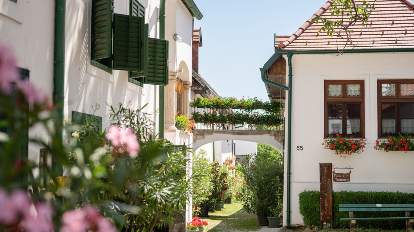 Das Heimathaus Mörbisch von außen mit rosa Blumen im Vordergrund